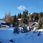 Wulli In Der Naehe Der Skianlagen