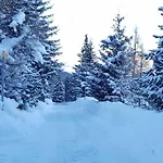 Wulli In Der Naehe Der Skianlagen Alpesi faház Savognin