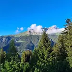 Wulli In Der Naehe Der Skianlagen Alpesi faház *