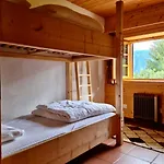 Wulli In Der Naehe Der Skianlagen