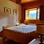 Wulli In Der Naehe Der Skianlagen *
