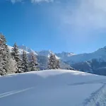 Wulli In Der Naehe Der Skianlagen