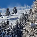 Wulli In Der Naehe Der Skianlagen Horská chata *