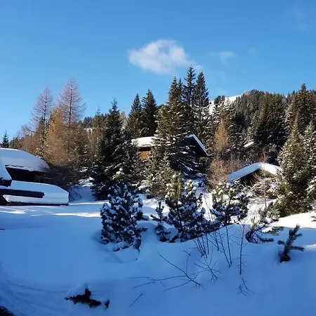 Wulli In Der Naehe Der Skianlagen