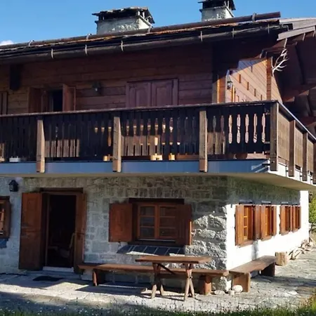 Wulli In Der Naehe Der Skianlagen *