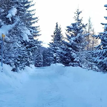Wulli In Der Naehe Der Skianlagen Chalet Savognin
