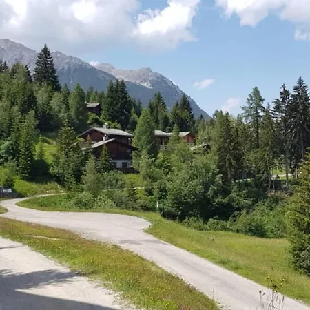 Wulli In Der Naehe Der Skianlagen * Savognin