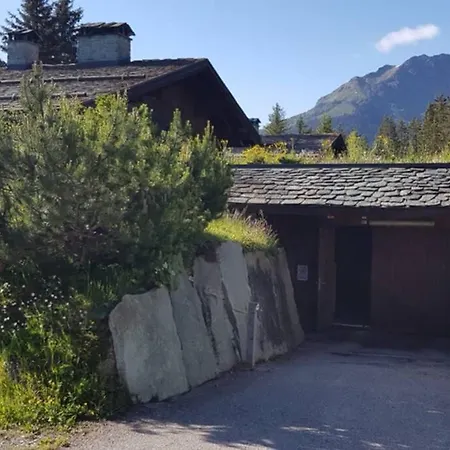 Wulli In Der Naehe Der Skianlagen * Savognin