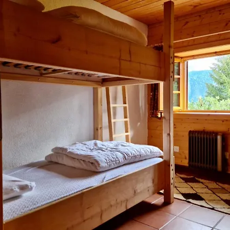 Wulli In Der Naehe Der Skianlagen