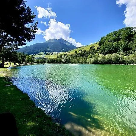 Wulli In Der Naehe Der Skianlagen Alpstuga *