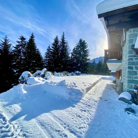 Wulli In Der Naehe Der Skianlagen