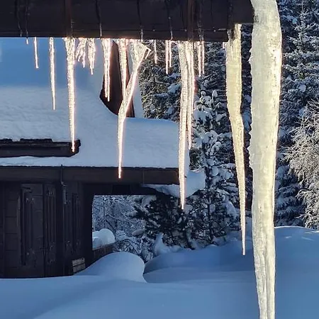 Wulli In Der Naehe Der Skianlagen Chalé *