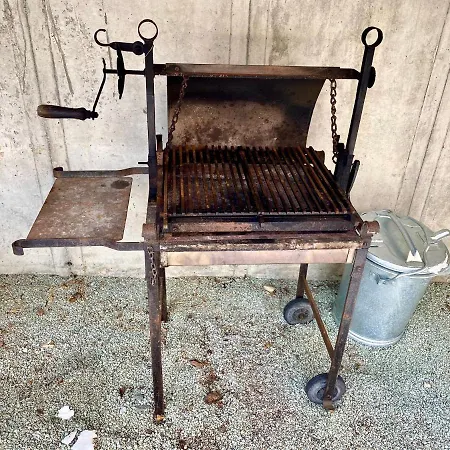 Wulli In Der Naehe Der Skianlagen Savognin