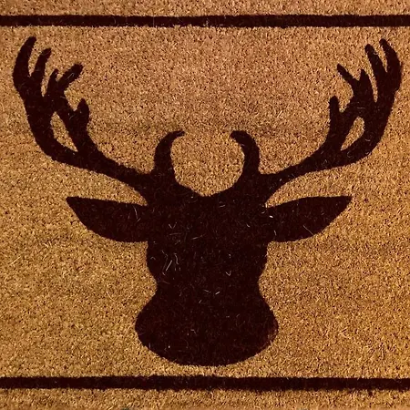 シャレー Wulli In Der Naehe Der Skianlagen