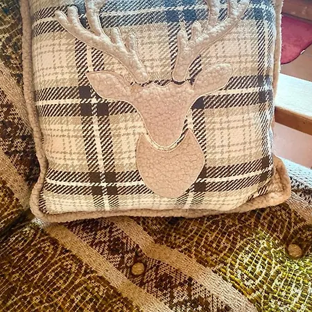 シャレー Wulli In Der Naehe Der Skianlagen