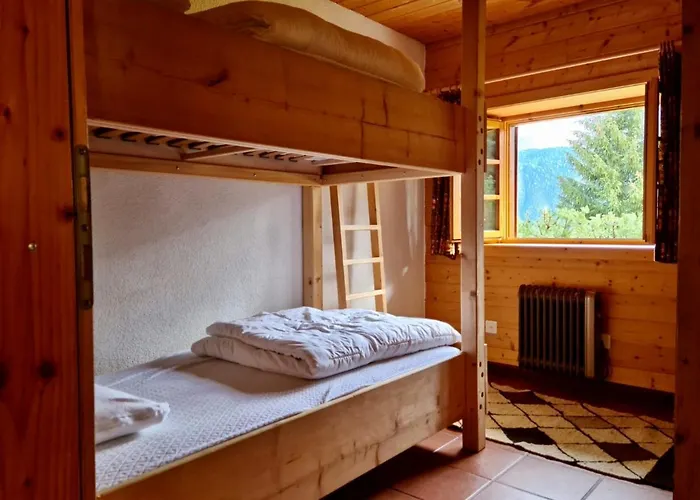 Wulli In Der Naehe Der Skianlagen