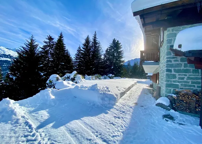 Wulli In Der Naehe Der Skianlagen