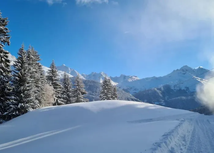 Wulli In Der Naehe Der Skianlagen