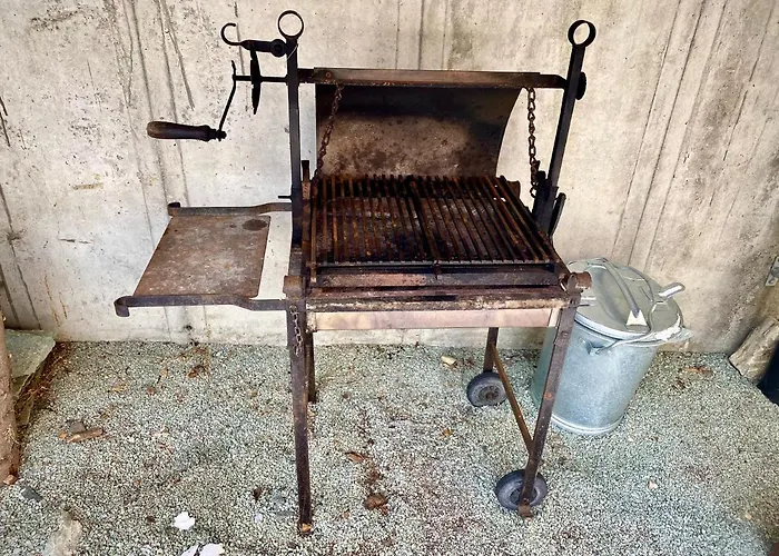 Wulli In Der Naehe Der Skianlagen Savognin