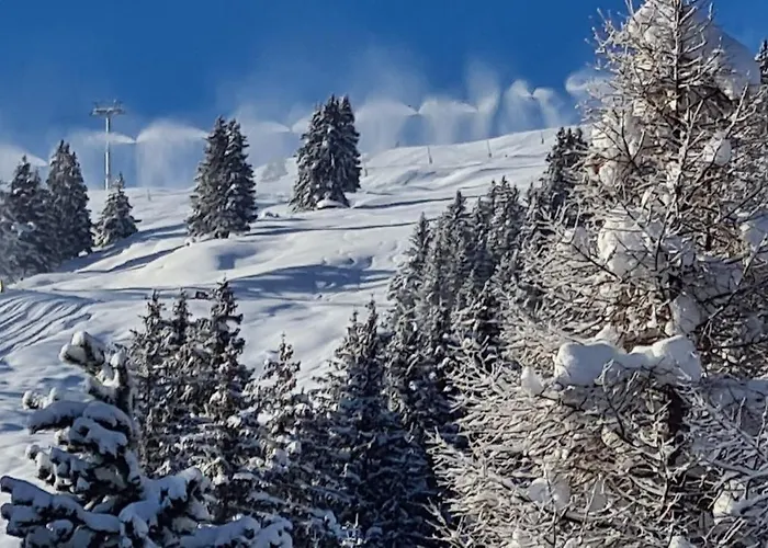 Wulli In Der Naehe Der Skianlagen Chalé *