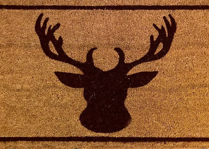 Chalé Wulli In Der Naehe Der Skianlagen