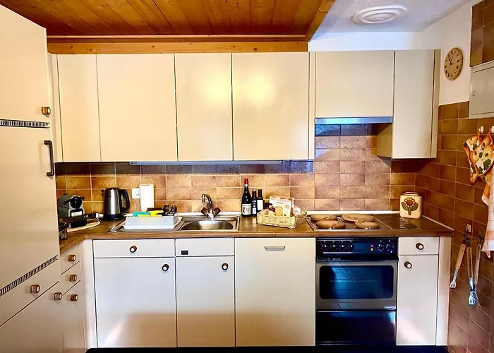 Wulli In Der Naehe Der Skianlagen