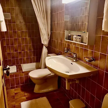 Wulli In Der Nähe Der Skianlagen *