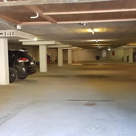 Wulli In Der Naehe Der Skianlagen Alpesi faház *