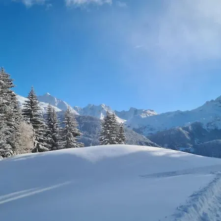 Wulli In Der Nähe Der Skianlagen