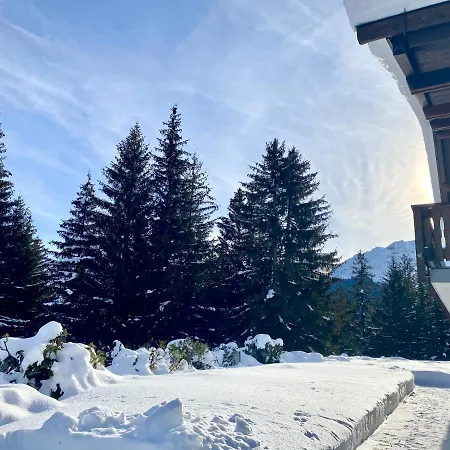 Wulli In Der Naehe Der Skianlagen *