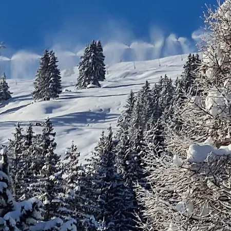 Wulli In Der Nähe Der Skianlagen Chalet *