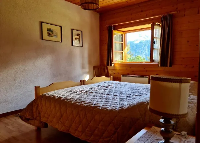 Wulli In Der Naehe Der Skianlagen *