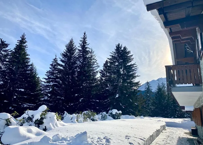 Wulli In Der Naehe Der Skianlagen *