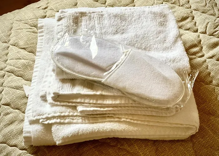 Wulli In Der Naehe Der Skianlagen Chalet Savognin