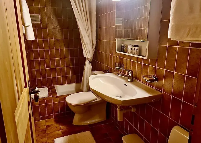 Wulli In Der Naehe Der Skianlagen *