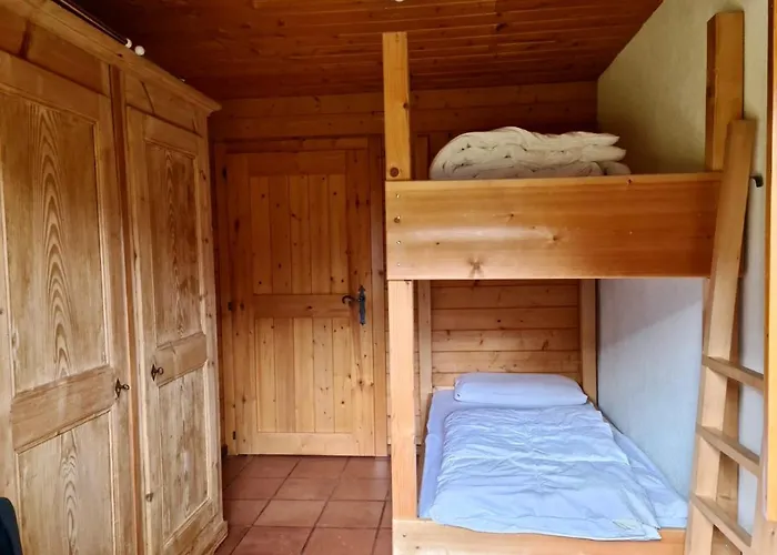 Wulli In Der Naehe Der Skianlagen