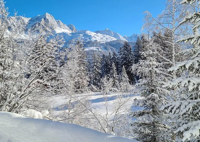 Chalé Wulli In Der Naehe Der Skianlagen *