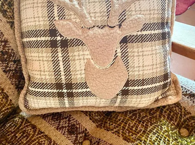 Chalé Wulli In Der Naehe Der Skianlagen