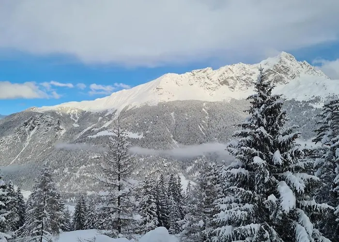 Wulli In Der Naehe Der Skianlagen * Savognin